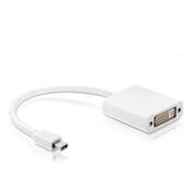 Cordon adaptateur Mini Displayport mâle / DVI-D femelle 0.10m