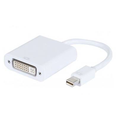 Adaptateur plastique mini DisplayPort 1.1 mâle vers DVI-D F (24+5)